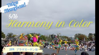 5/16 DPA プラザガーデン前 東京ディズニーランド 東京迪士尼 ハモカラ Harmony in color