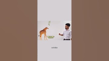 Thumbnail of Natural Selection Explained!