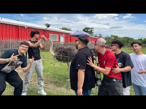 THE BOYS SPEND THE DAY AT THE BIGGEST ZOO IN TEXAS