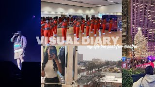 visual diary episode 1 : my life recently