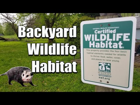 Backyard Wildlife Habitat