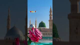 new naat status Islamic status WhatsApp status