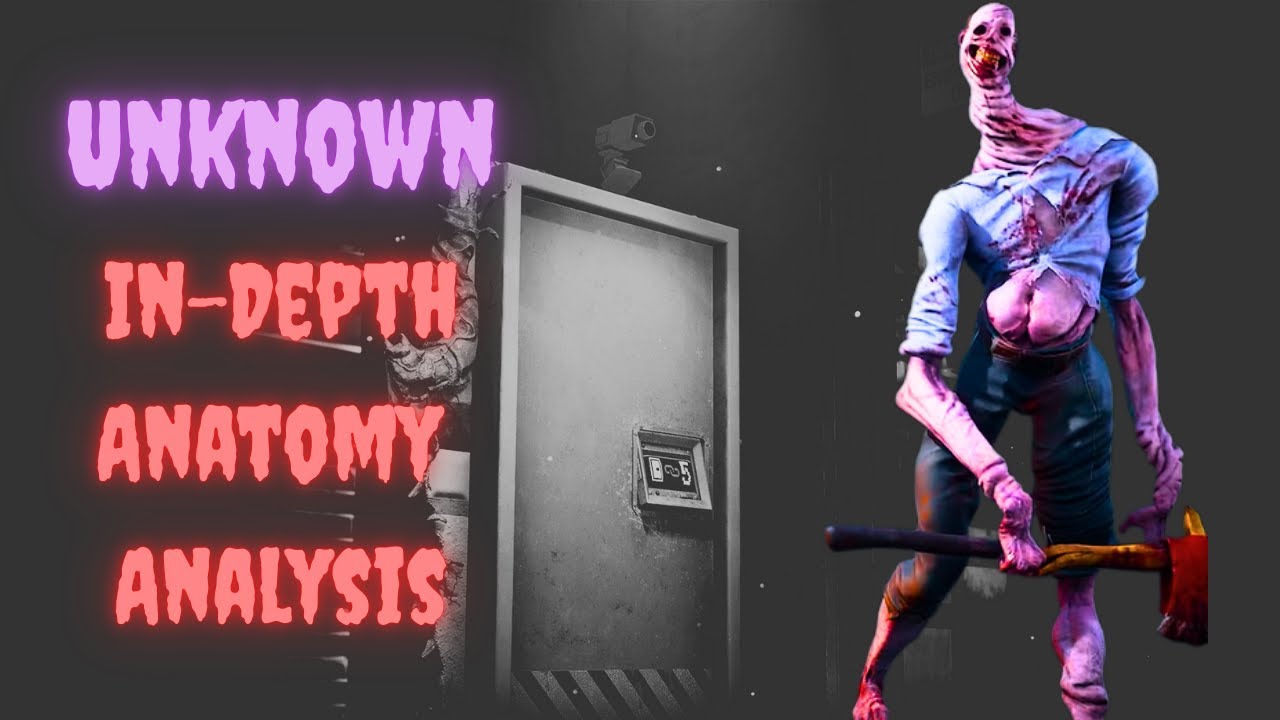 Unknown In-depth Anatomy Analysis | DBD