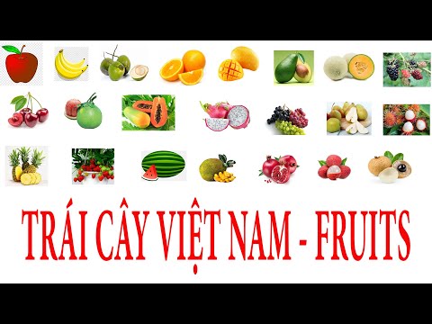 Video Từ Vựng Trái Cây Bằng Tiếng Anh - VIETNAMESE FRUITS - YouTube