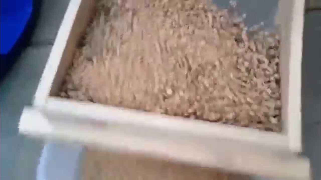 How to clean pellet litter box YouTube