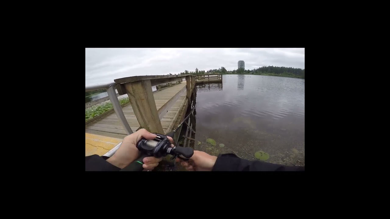 throwback to this fish while we're waiting for the season to pick up here. 🎣 