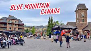 Why Blue Mountain is an extremely cool place to visit in Ontario | 4K Virtual Walking Tour