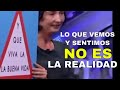 Lo que vemos y sentimos no es la realidad  elsa punset