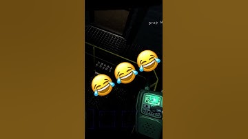 YIPPEE #lethalcompany #yippee