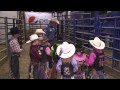 The ride with cord mccoy miniature bull riding