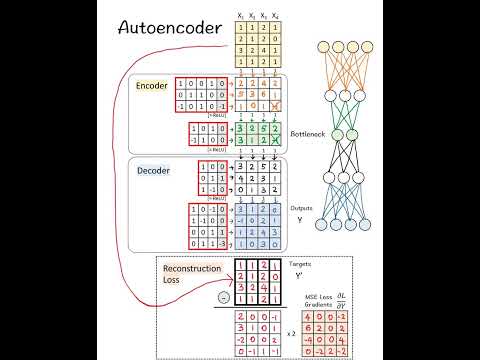 Calculate Autoencodersbyhand#autoencoder#maths#datascience#machinelearning#deeplearning#generativeai