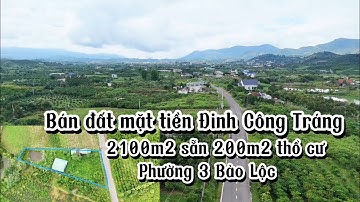 Bán đất mặt tiền đường Đinh Công Tráng, phường 3 Bảo Lộc|| Diện tích 2100m2 sẵn 200m2 thổ cư