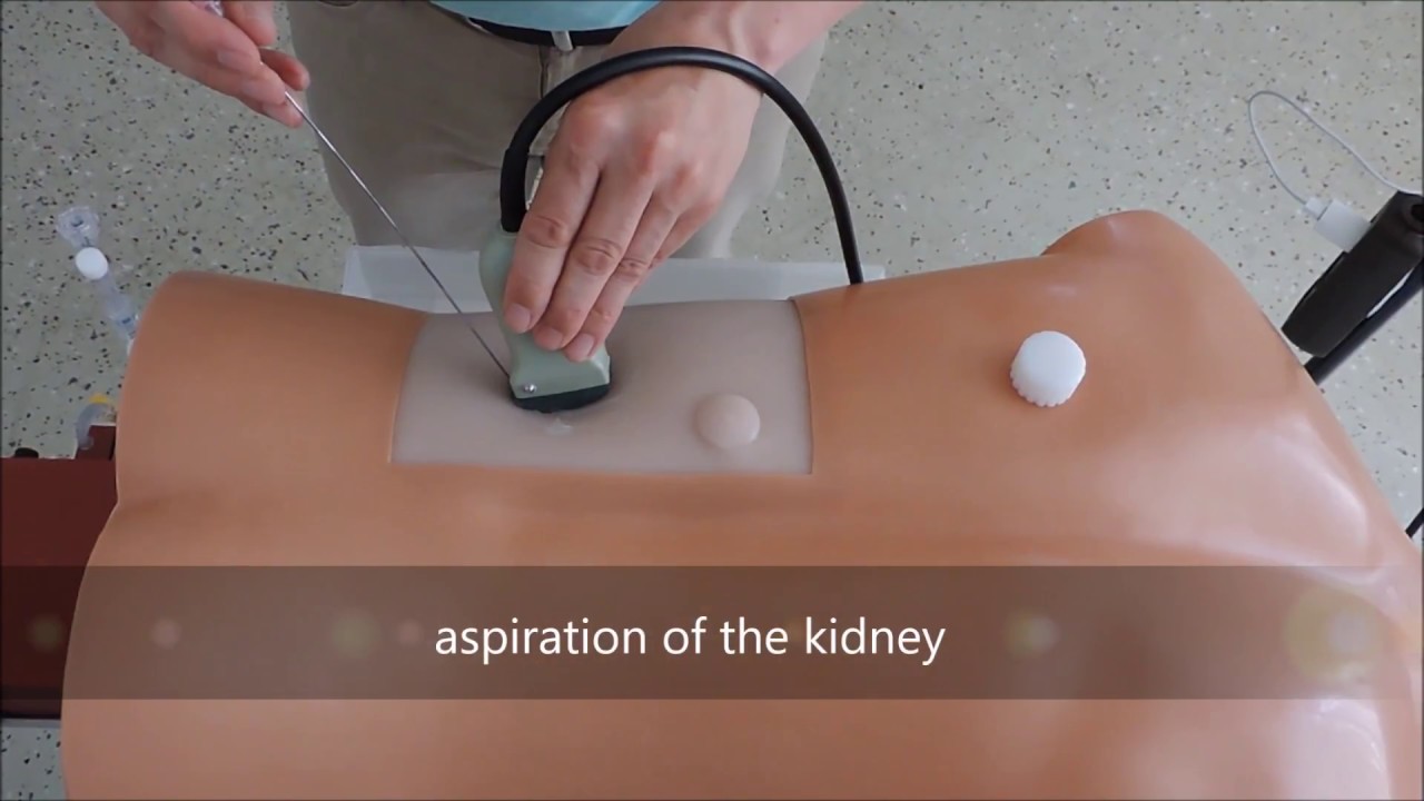 PCNL Training Device LS40