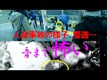 【国内外ﾉ 最怖映像】怖い３心霊　終電事故（背切霊）/雪中/ドライブスルー　ﾎﾗｰ動画最新選　39