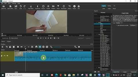 How to extract an audio from a video on Shotcut, remove video and keep audio