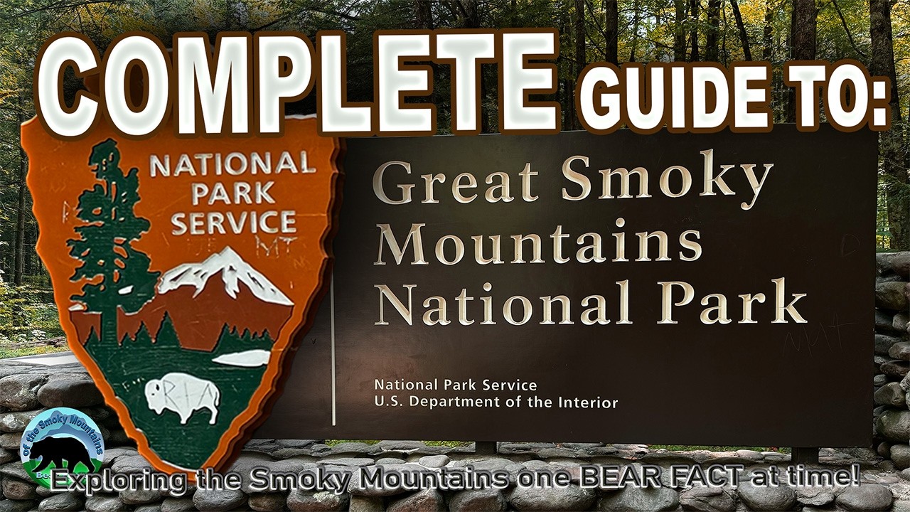 The Ultimate Guide to Visiting Great Smoky Mountains National Park