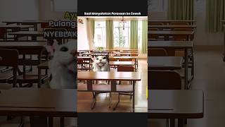 POV: Nembak Cewek 🤣 #kucingmeme #memekucing #pacaran #meme #kucing
