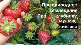 :      .