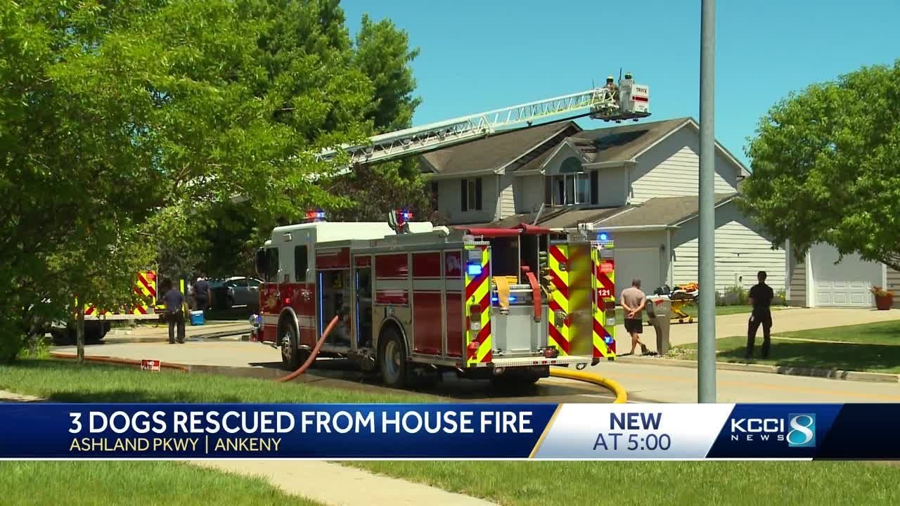 3 dogs rescued from Ankeny home fire - YouTube