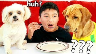 My Dog Reacts to the Invisible Food Challenge
