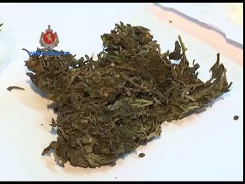 შსს-მ ნარკოტიკული საშუალების უკანონო შეძენა-შენახვისთვის 1 პირი დააკავა