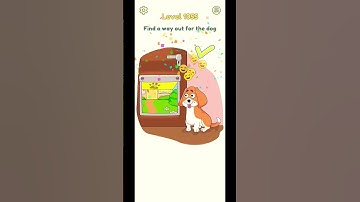 DOP 2 Answers | All Levels | Level 1055 |aashu gaming shorts | #dop2 #dop2answers #dop2level #aashu