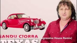 Sandu Ciorba - Texas 2016 ( Progressive House Remix )