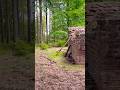 The Limes Germanicus III (WP 10/30): the remains of a watchtower hidden in the woods