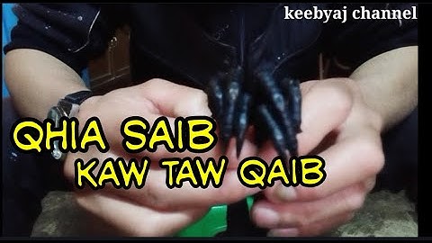 Qhia saib kaw taw qaib .16/12/2020