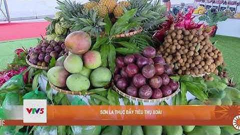 SƠN LA THÚC ĐẨY TIÊU THỤ XOÀI   | VTV5