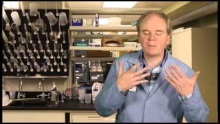 Road salt alternatives: Does sand melt ice if it’s prewet with liquid calcium chloride?