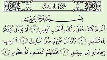 سورة الفيل الشيخ سعود الشريم برواية حفص عن عاصم