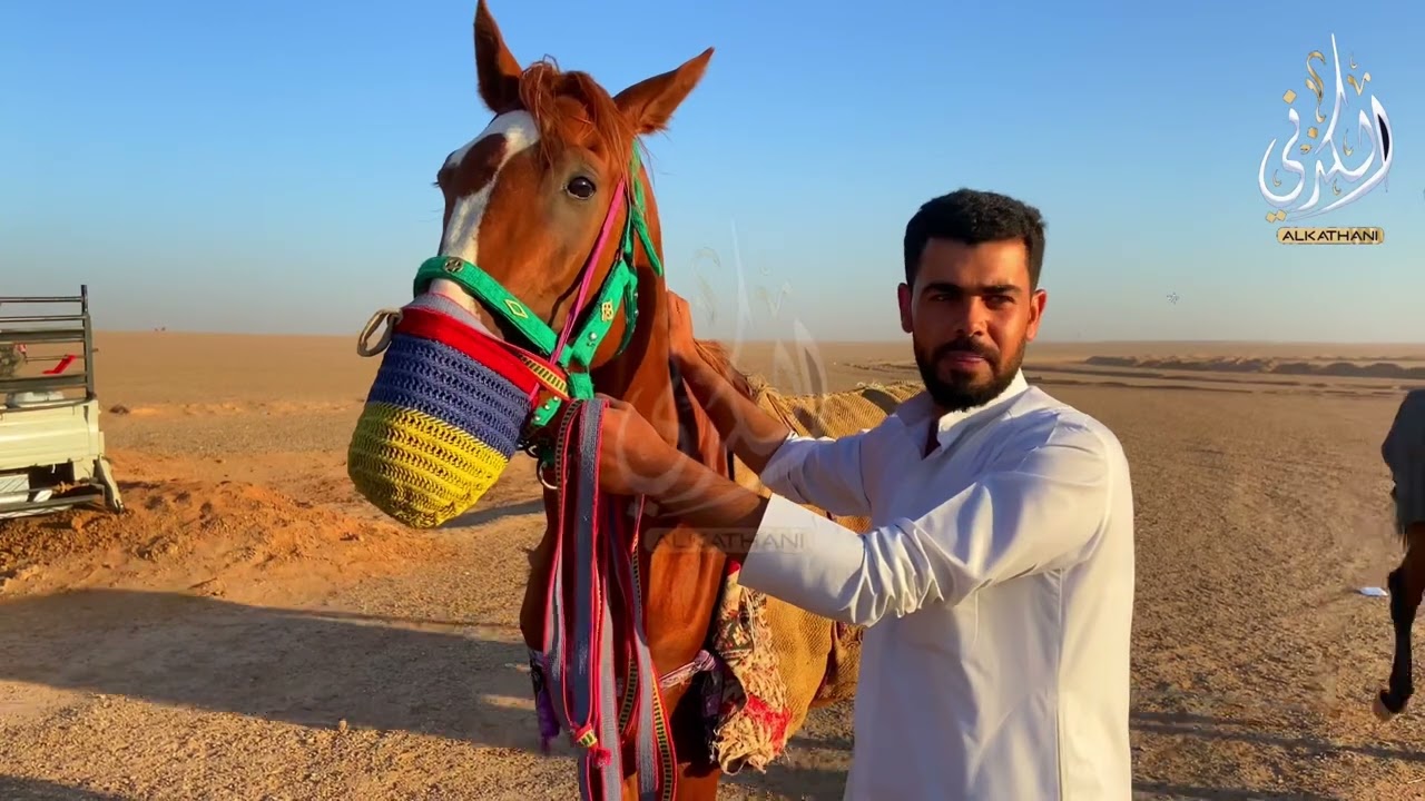 مقتطفات من مهرجان الخيول العربية الاصيلة الذي اقيم على ارضية مضمار غرانيج اليوم في الشعيطات