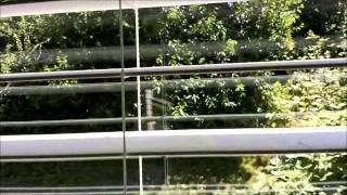 Olympia WA Duplex for sale