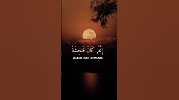 ﴿ وَلَا تَقْرَبُوا الزِّنَا ۖ إِنَّهُ كَانَ فَاحِشَةً وَسَاءَ سَبِيلًا﴾[ سورة الإسراء: 32]