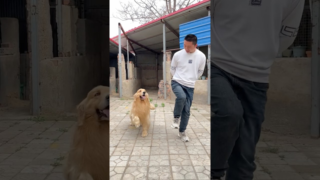 This is the most adorable thing ever! 🥹❤️