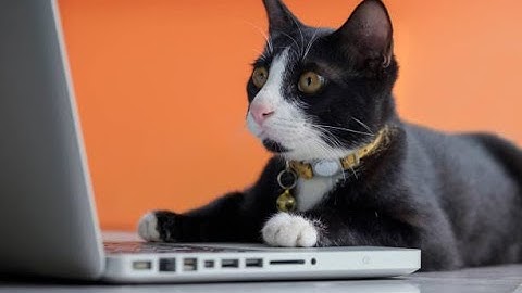 How to change your email password in cPanel