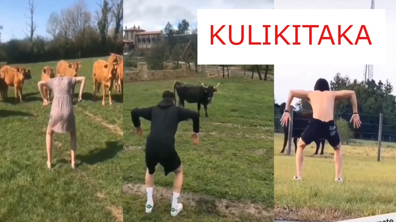 NOW THIS Kulikitaka Challenge   Animal Version   Tik Tok Compilations April 2020