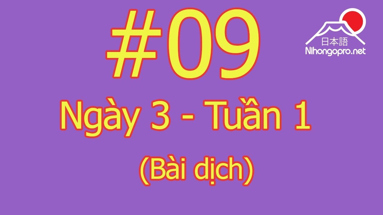 Đọc hiểu N3 - Ngày 3 - Tuần 1 - Somatome (Bài Dịch)