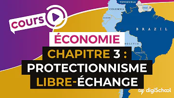 Quel est le risque du protectionnisme ?