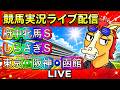 【中央競馬ライブ配信】府中牝馬S しらさぎS 東京 阪神 函館【パイセンの競馬チャンネル】