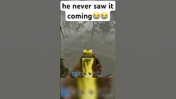 trees are broken💀