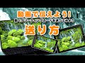 動画カードの送り方についての説明ビデオ/スマホ【アンドロイド編】