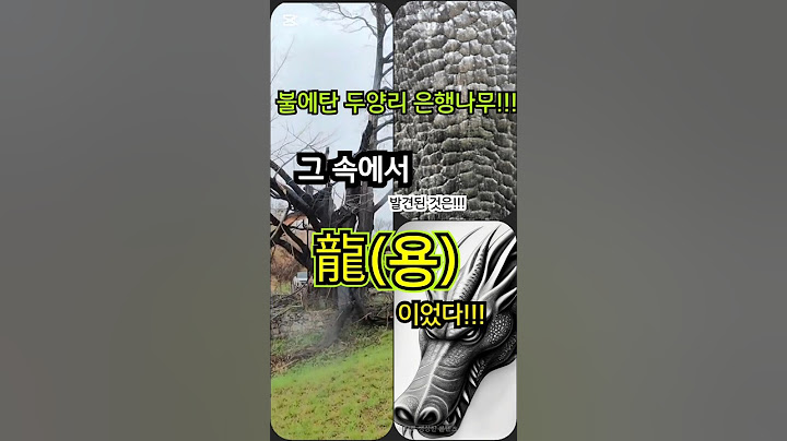 용의 승천 - 불탄 나무에서 발견된~! 용의 비닐 형상~!!! 두양리 은행나무 (강민첨 장군서낭)에서 용이 승천하다! #기도터 #이무기 #용의비닐 #용승천