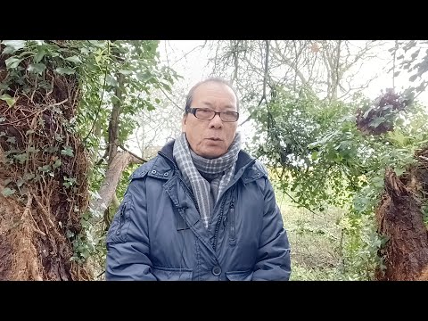 Video: Tặng gì cho một người đàn ông vào năm mới 2022 không tốn kém và độc đáo
