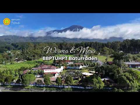 Vibes Pegunungan, Nginep di Homestay Taurus Baturraden dengan Udara Dingin dan Sejuk