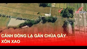 Cánh Đồng Lạ Gần Chùa Gây Xôn Xao | Chưa Từng Thấy #DDN tổng hợp