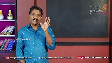 KITE VICTERS STD 10 Biology Class 45 (First Bell-ഫസ്റ്റ് ബെല്‍)