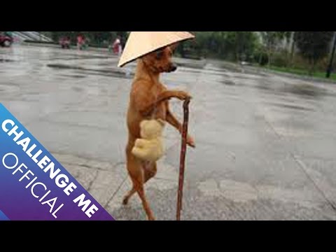Video [Tập cuối] Nguồn Tội Lỗi - Quê Tôi Đất Độc - youtube