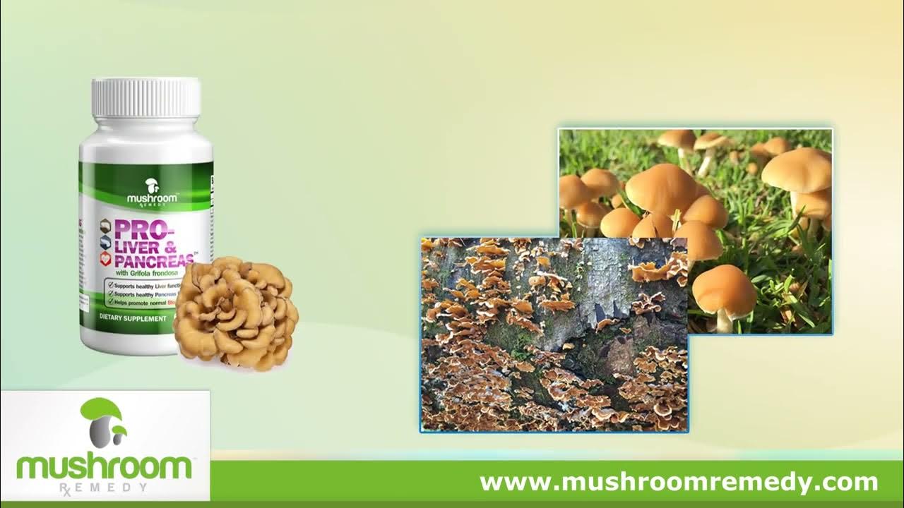 Mushroom Remedy Pro Immune YouTube
